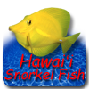 Hawaii Snorkel Fish icon